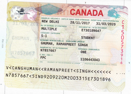 P Global Corp.
